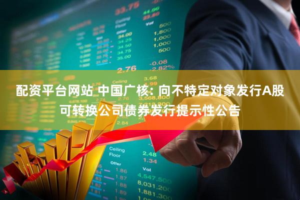 配资平台网站 中国广核: 向不特定对象发行A股可转换公司债券发行提示性公告