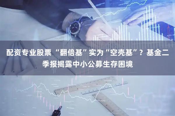 配资专业股票 “翻倍基”实为“空壳基”？基金二季报揭露中小公募生存困境
